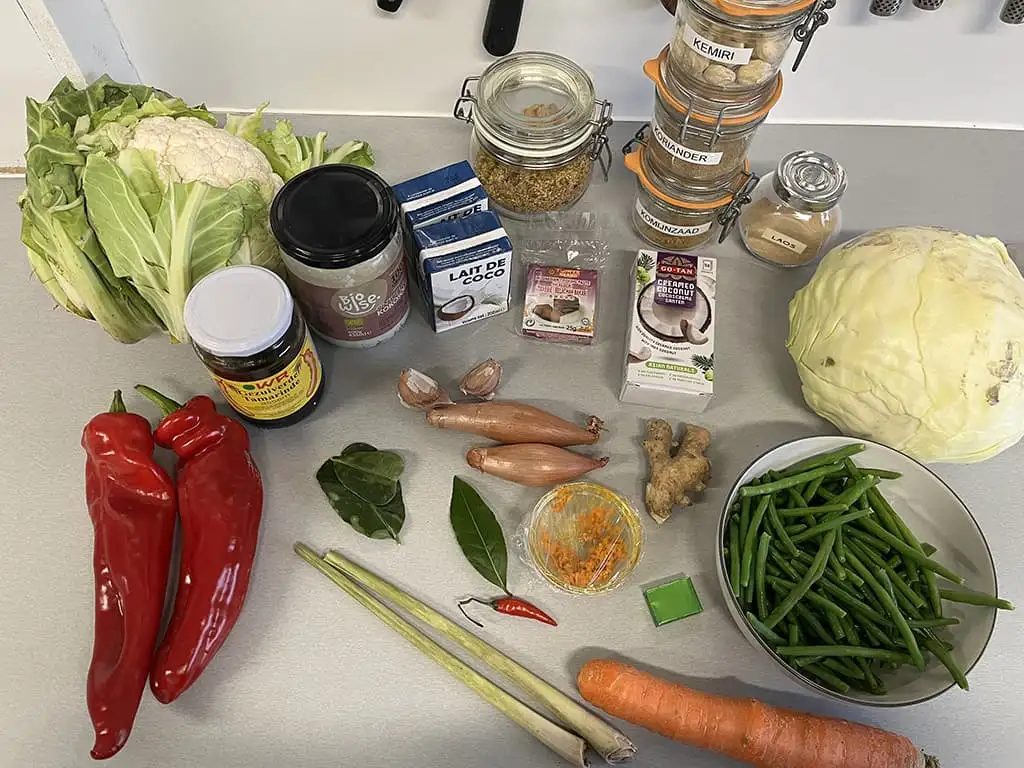 Sajoer lodeh ingrediënten