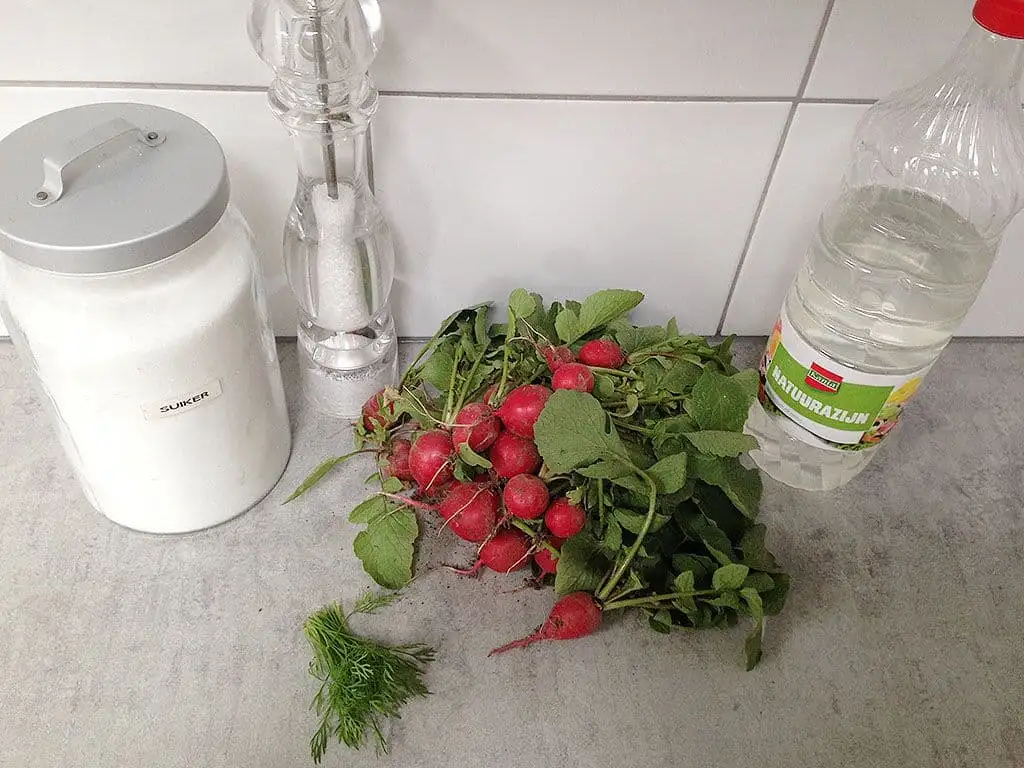Ingemaakte radijsjes ingrediënten