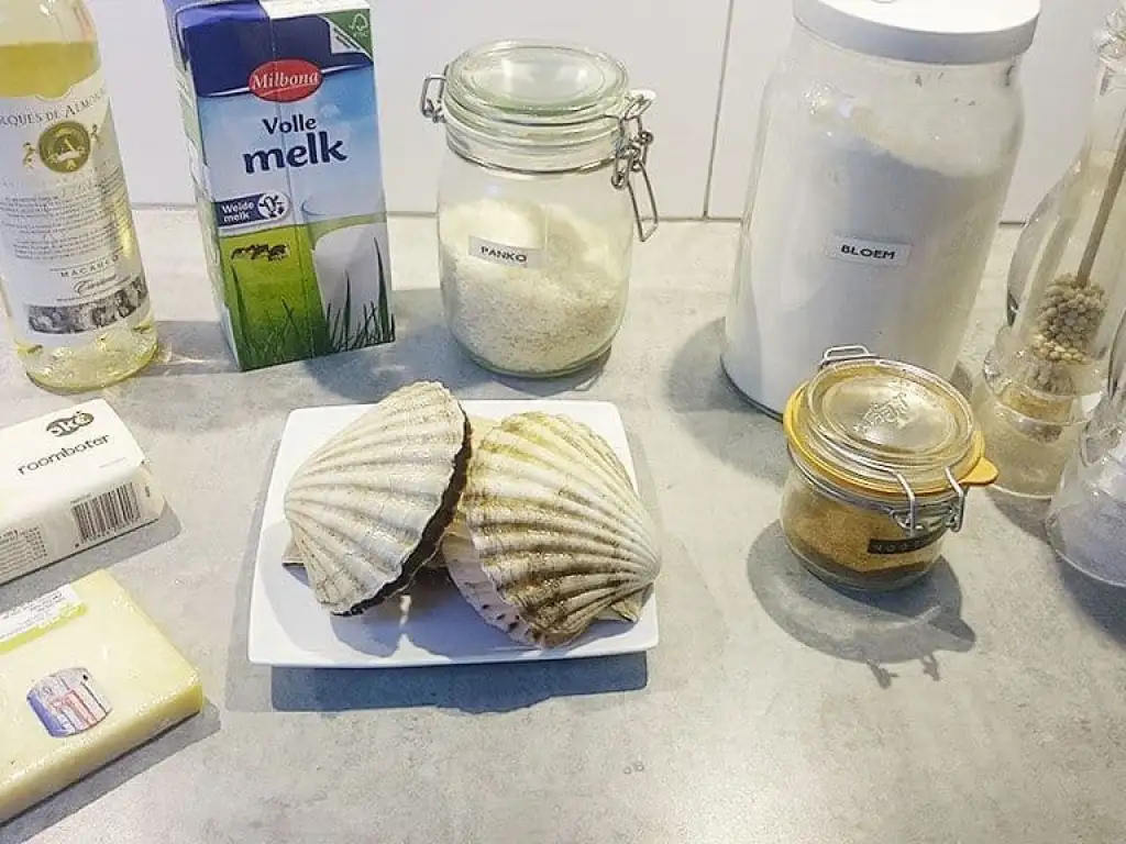 Verse coquilles in bechamel saus ingrediënten