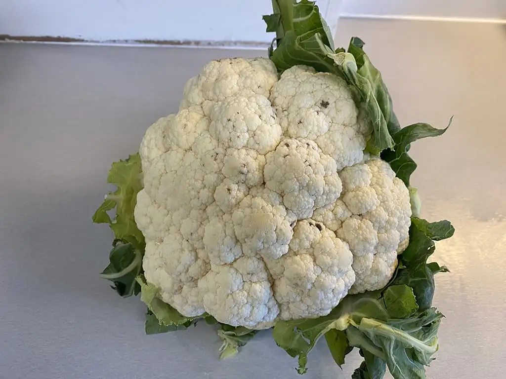 Zelf bloemkoolrijst maken ingrediënten