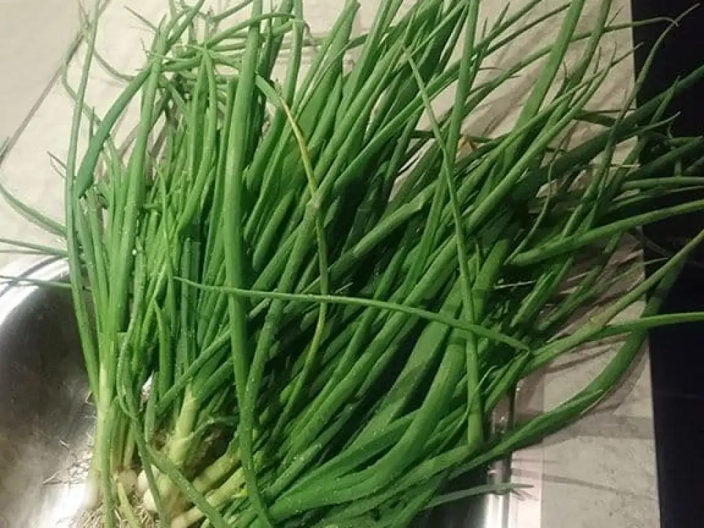 Lenteuisoep ingrediënten