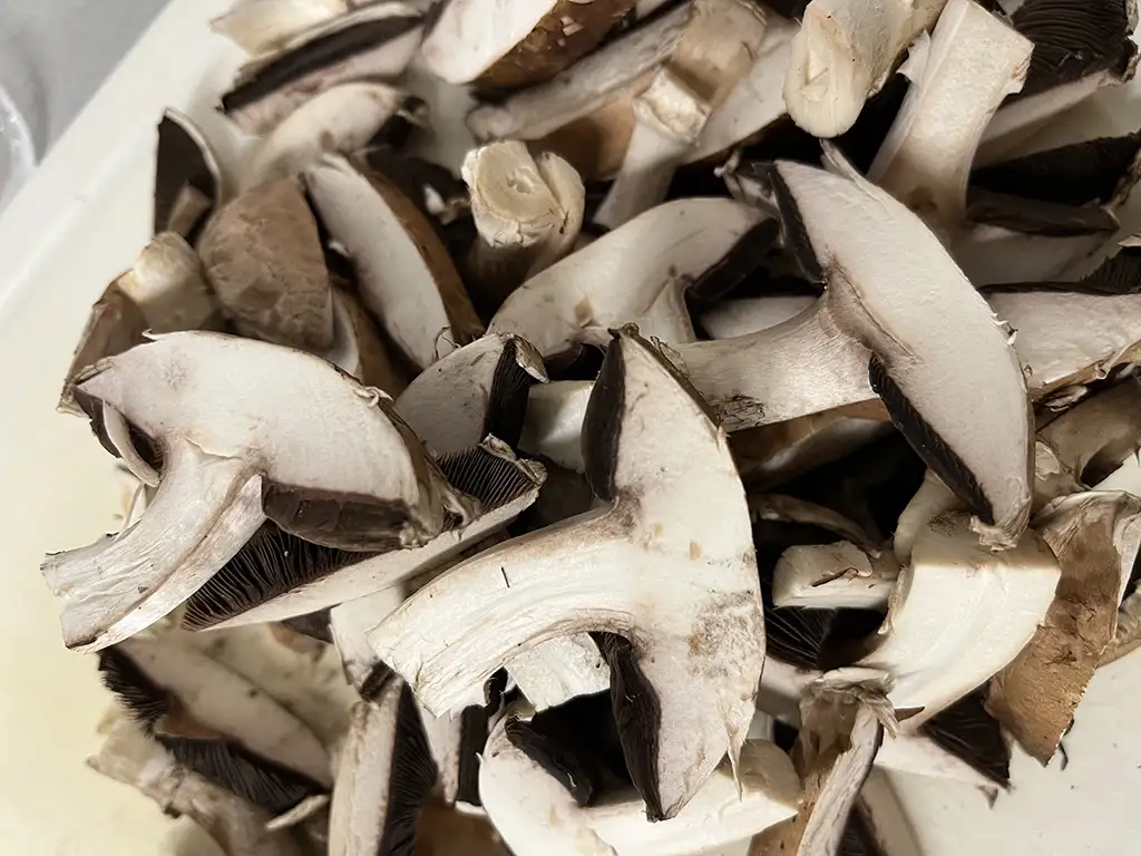 Perfecte champignons bakken ingrediënten