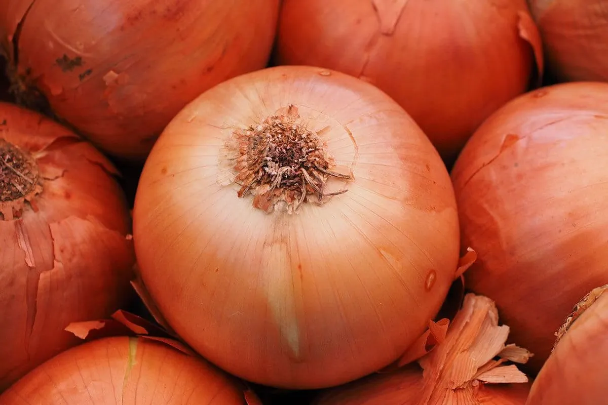 Waarom moet je huilen als je uien snijdt?
