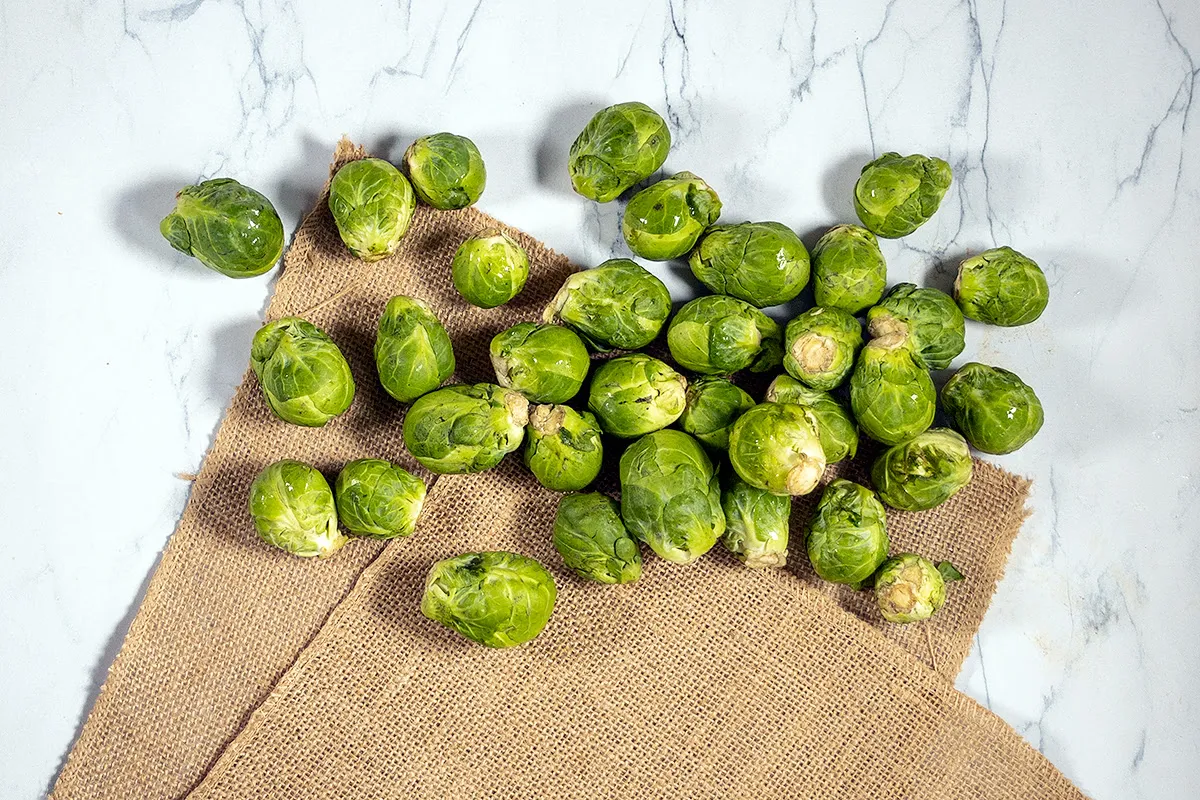 Spruitjes