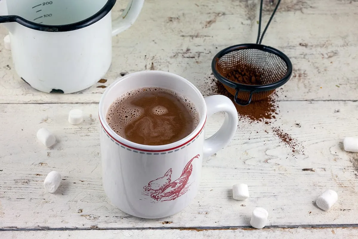 Warme chocolademelk van cacao