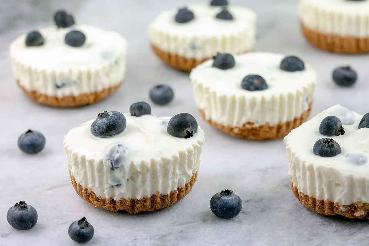 Mini blauwe bessen cheesecake