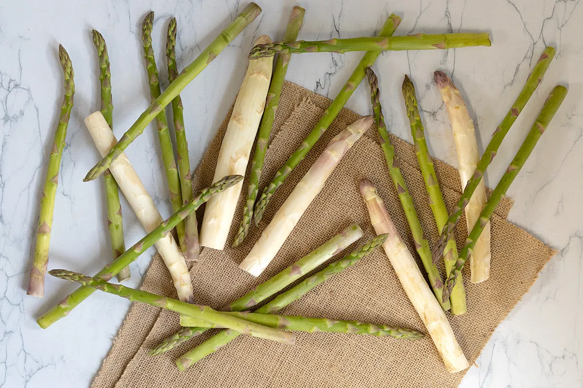 Asperge