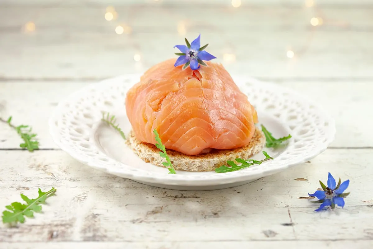 Zalm en venkel bonbon