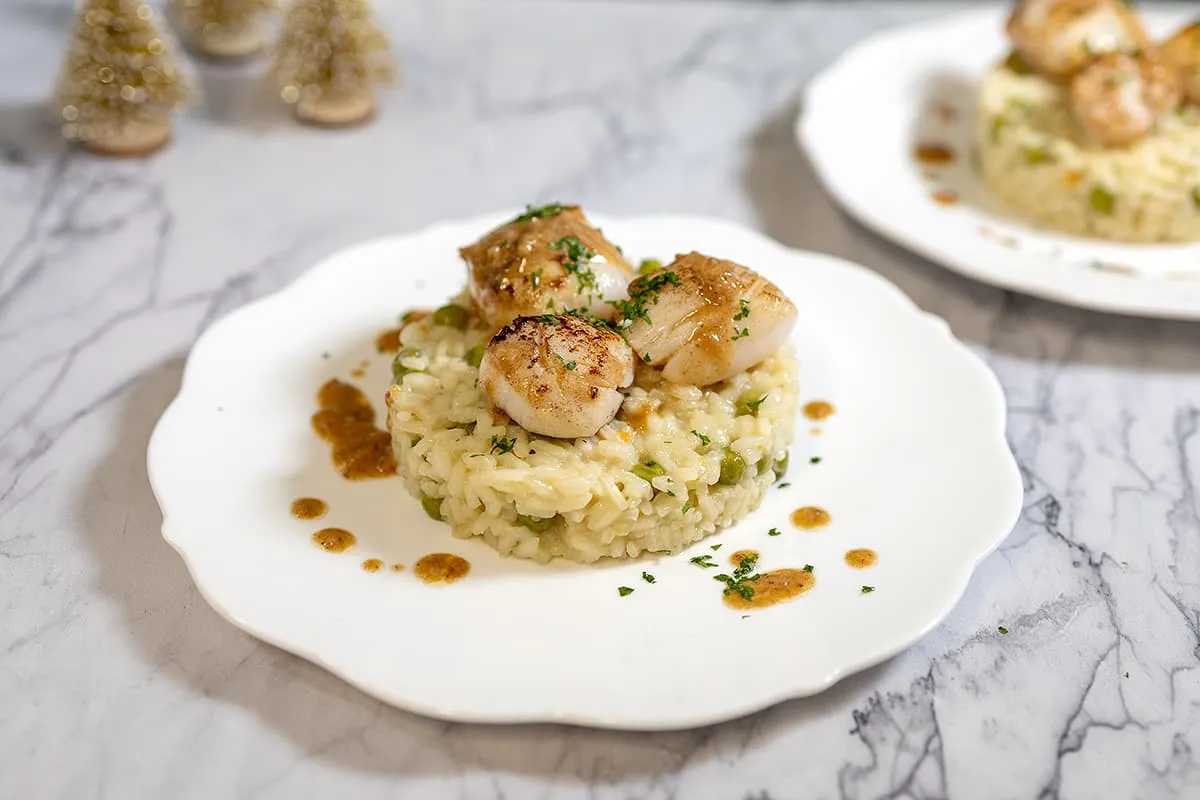 Champagne risotto met coquilles