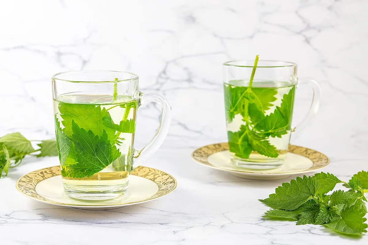 Waar is brandnetelthee goed voor?