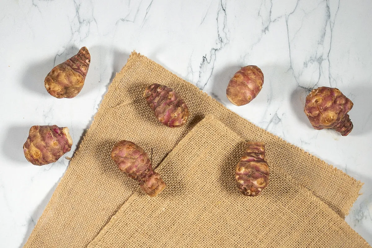 Aardpeer