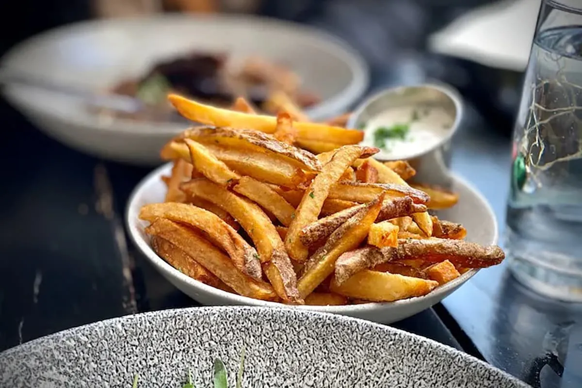 Waarom een friteuse onmisbaar is in je horecazaak