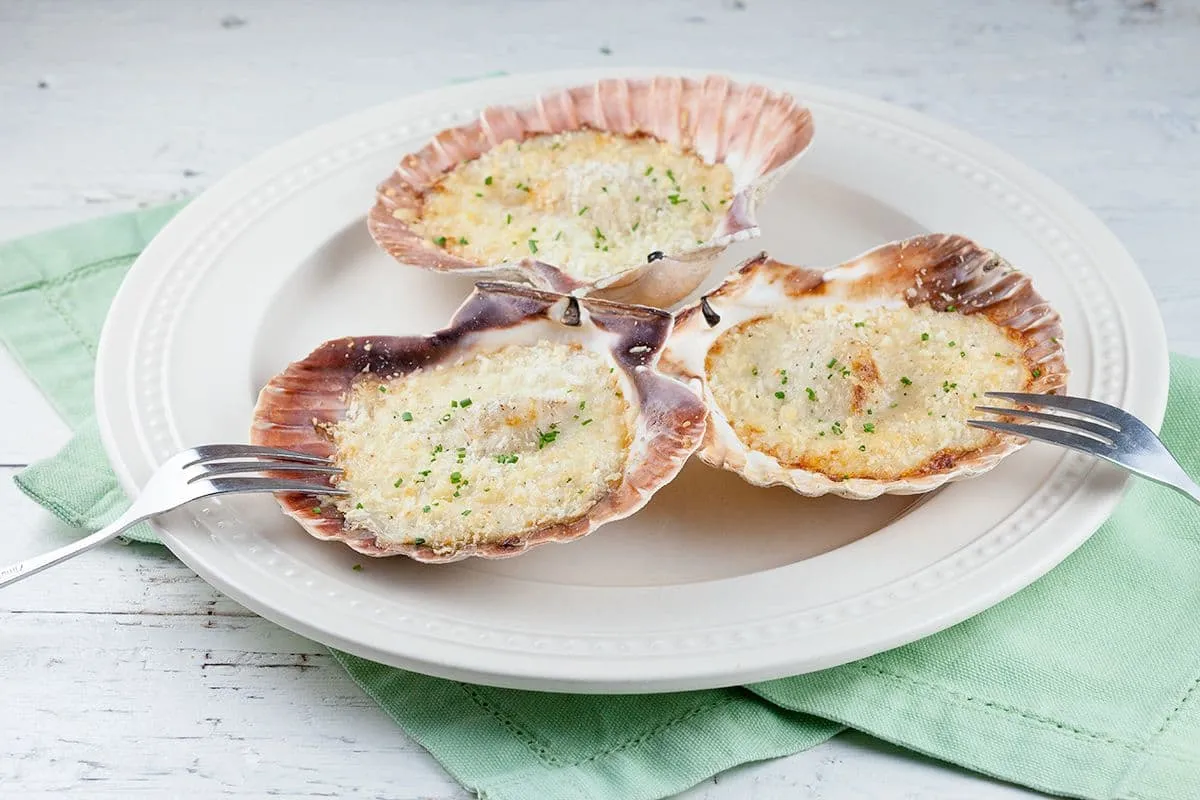 Verse coquilles in bechamel saus