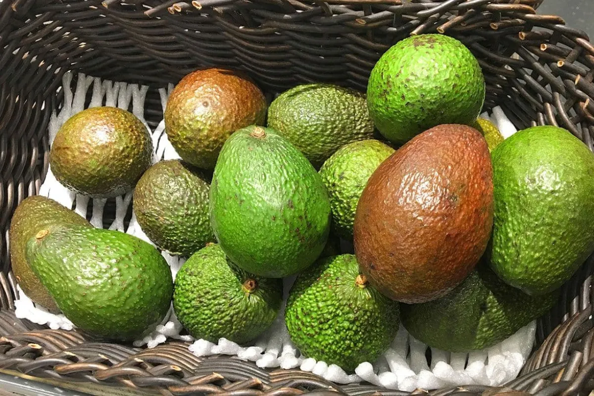 Hoe weet je of een avocado rijp is?