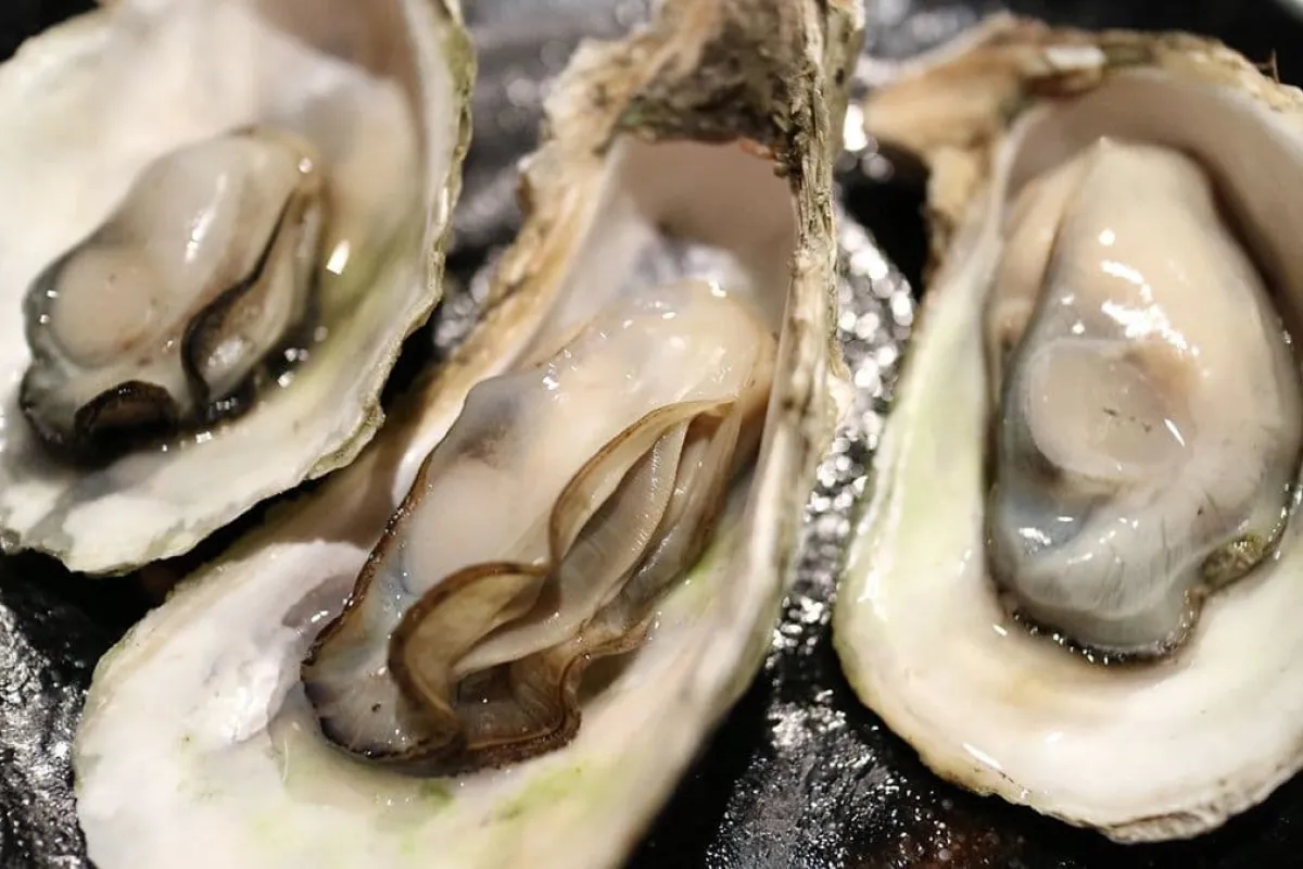 Hoe weet je of een oester goed is?
