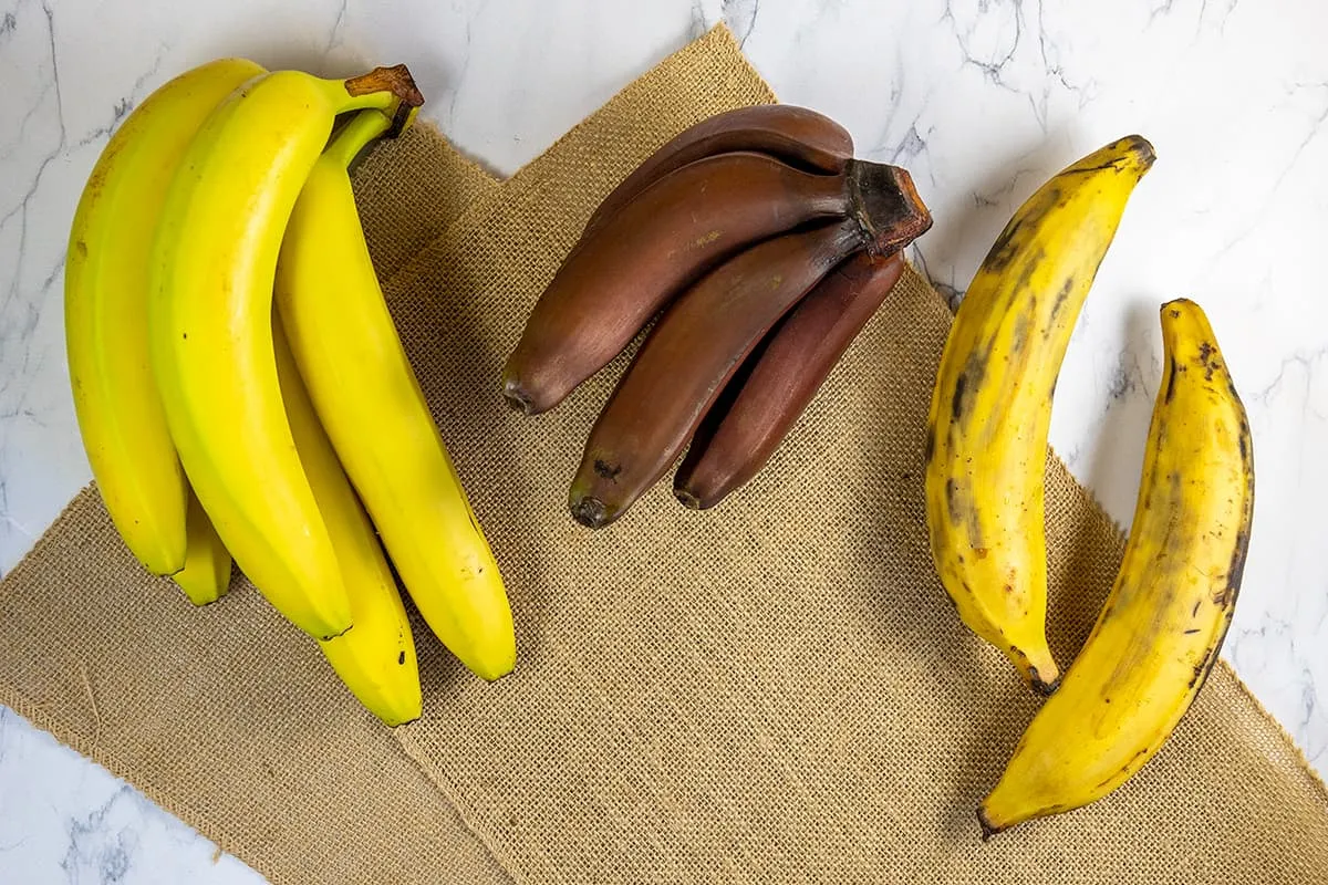 Banaan