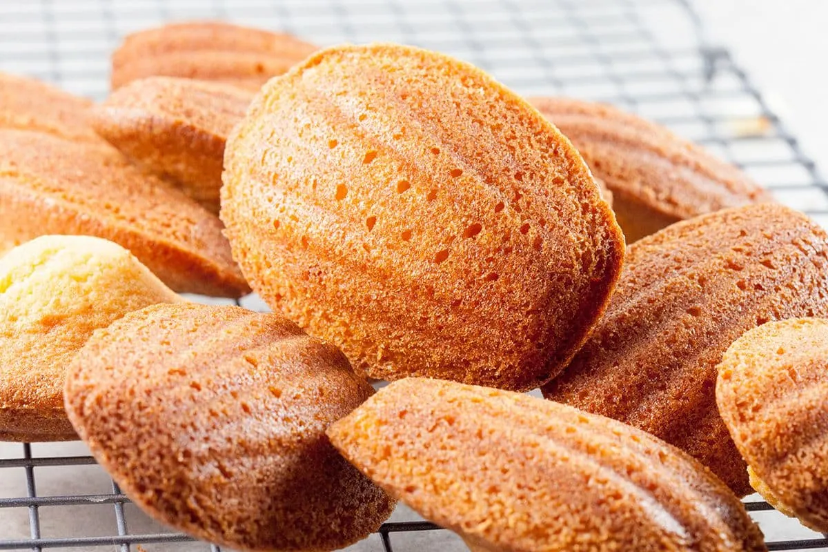 Klassieke Franse madeleines