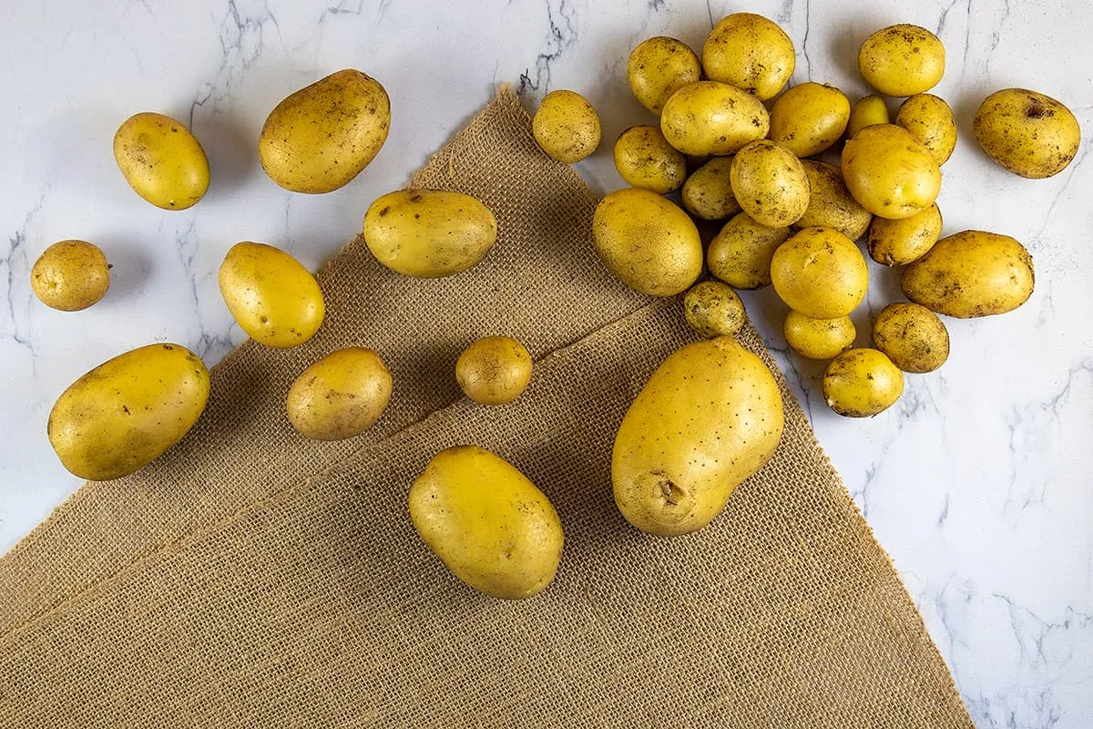 Aardappelen
