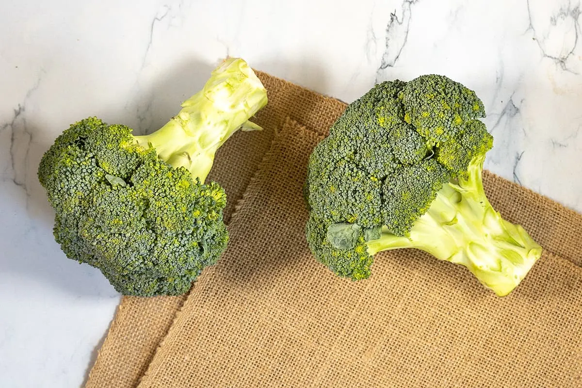 Broccoli