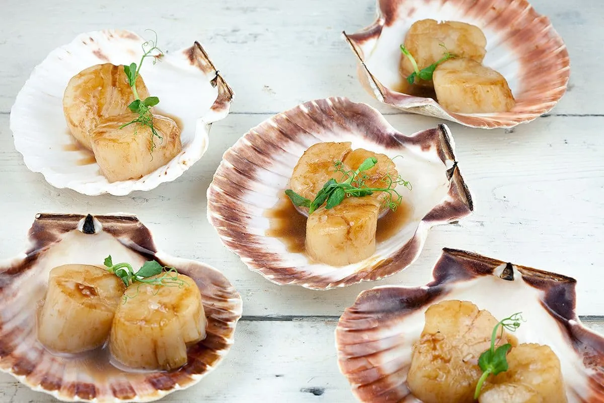 Coquilles St. Jacques met karamel en balsamico (feestelijk gerecht)