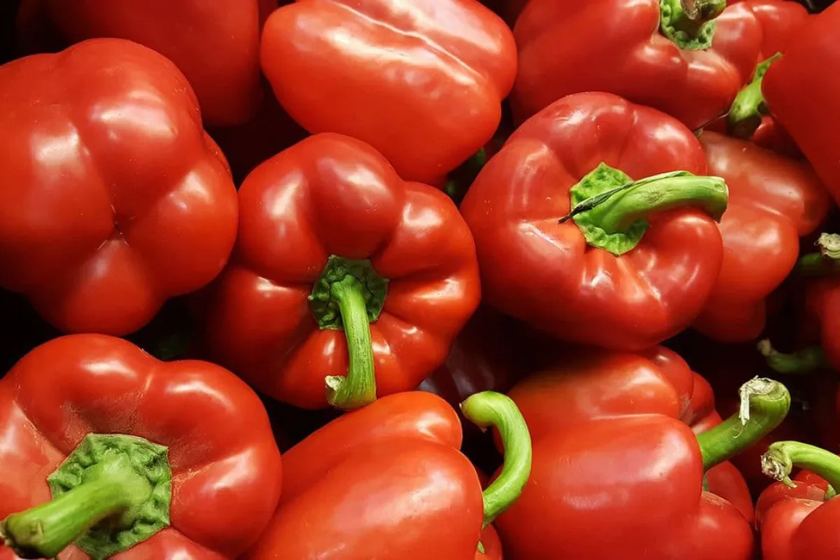 Hoe ontvel je een paprika?