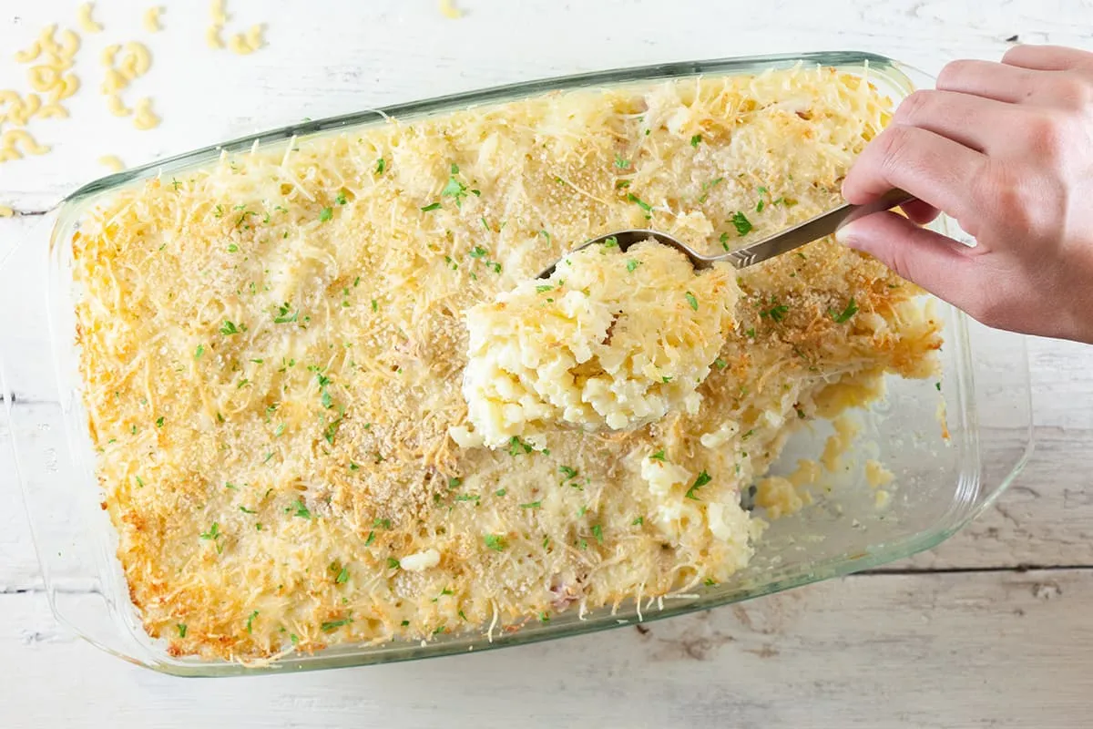 Macaroni boursin gratin