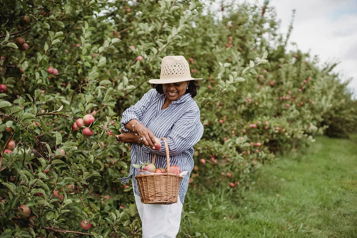 Fruit plukken als bijbaan: zo vind je een plukbaan én kook je met de oogst
