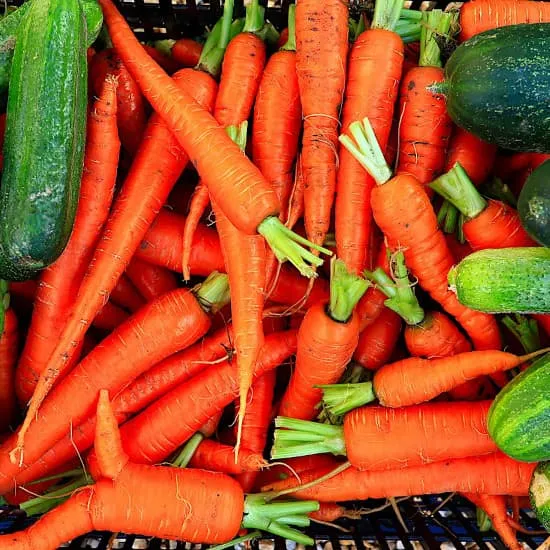 Recept: Zo kun jij je voedsel veel langer bewaren