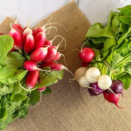 Recept: Radijs