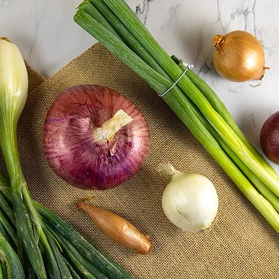 Recept: Uien