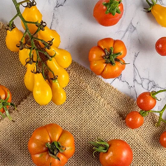 Recept: Tomaat