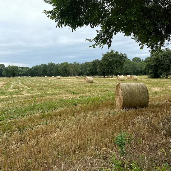 Kijkje in de keuken