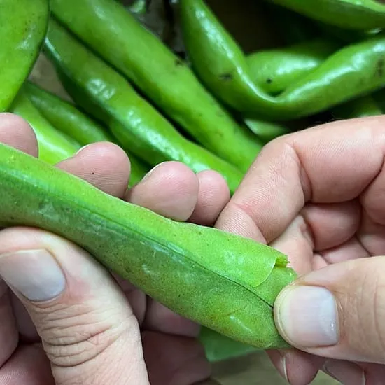 Recept: Hoe dop je tuinbonen