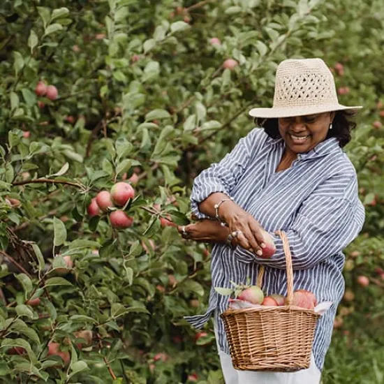 Fruit plukken als bijbaan: zo vind je een plukbaan én kook je met de oogst