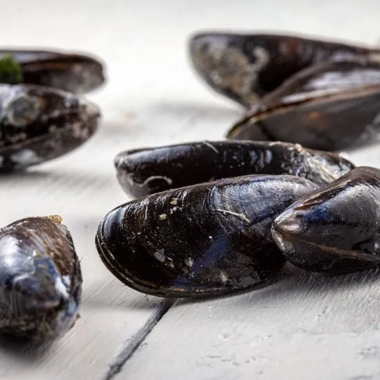 Recept: Alles over mosselen