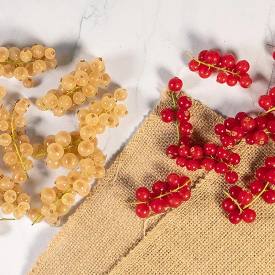 Recept: Aalbessen