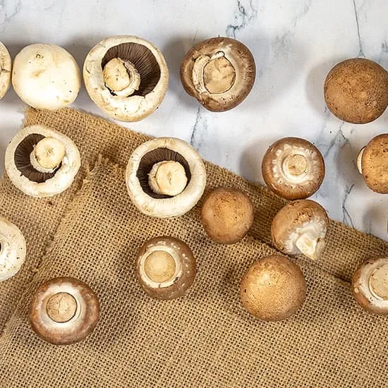 Recept: Champignons