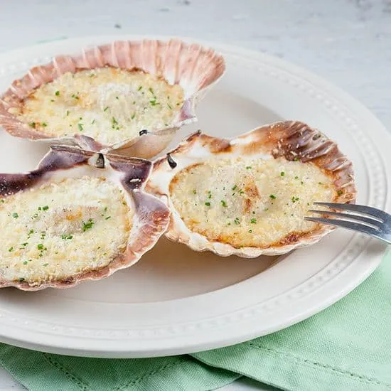 Verse coquilles in bechamel saus