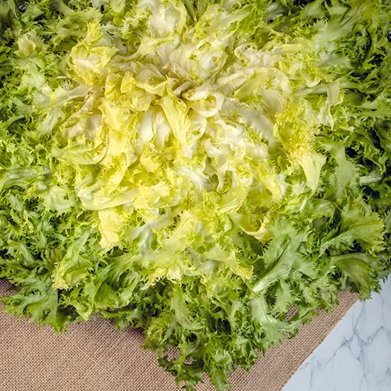 Recept: Frisée sla