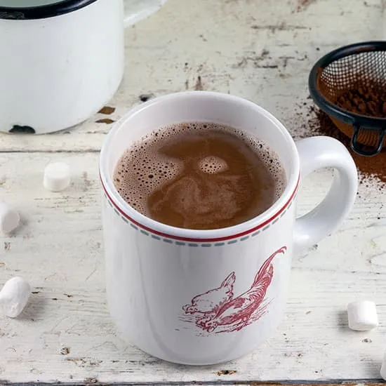 Recept: Warme chocolademelk van cacao