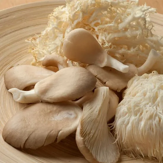 Recept: Lion’s Mane: koken met bijzondere paddenstoelen