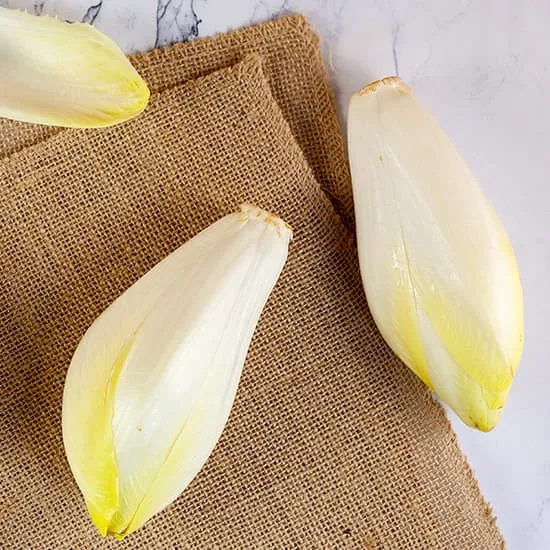 Recept: Witlof