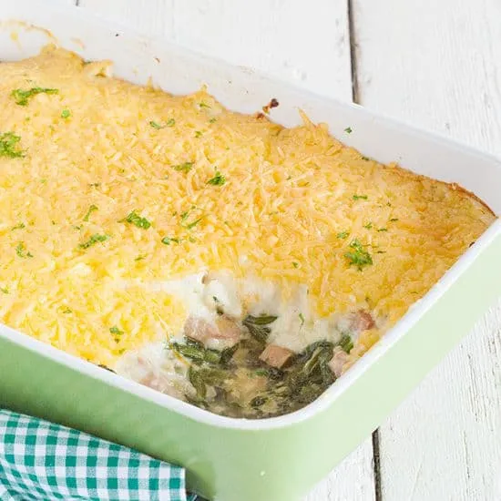 Andijvieschotel met ham en kaas