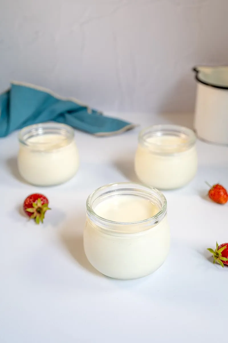 Zelf yoghurt maken
