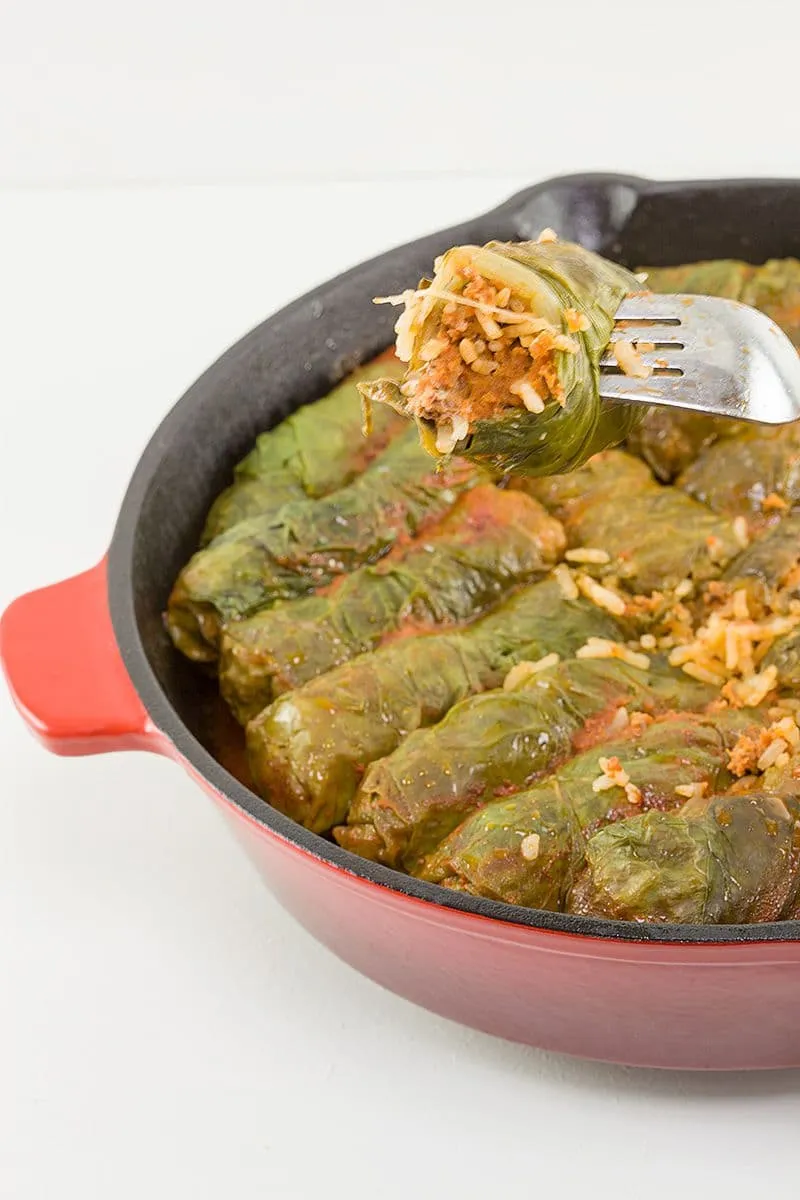 Sarma van snijbiet