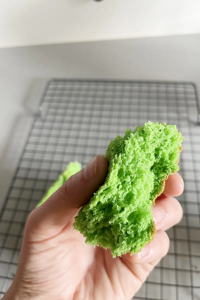 Pandan cake textuur