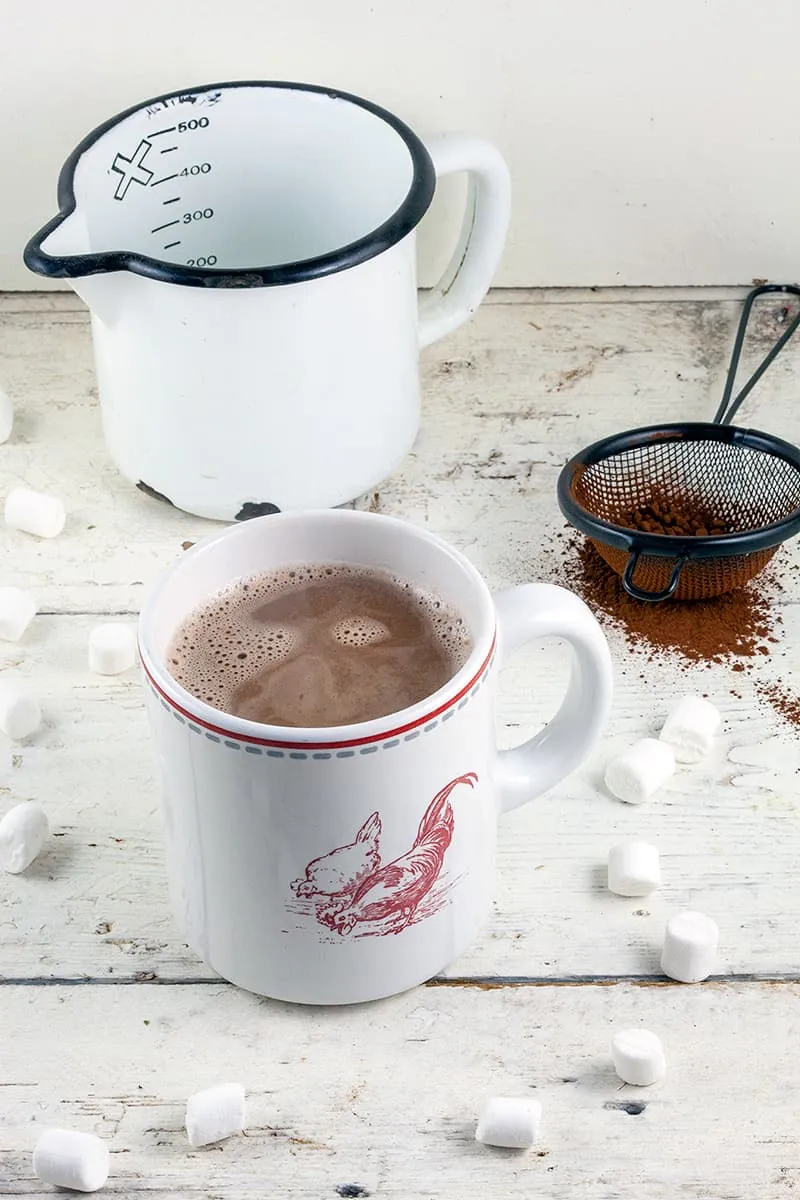Warme chocolademelk van cacao