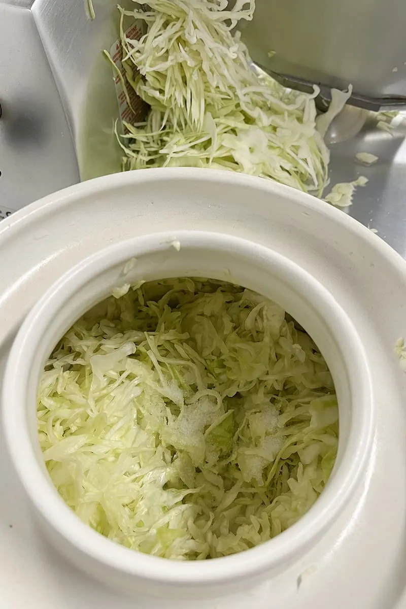 Zelf zuurkool maken (gefermenteerde witte kool) voorbereiding